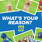 Reasons