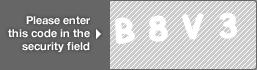 captcha code for visual authentication  letter B number 8 letter V number 3