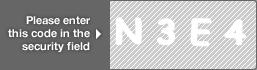 captcha code for visual authentication  letter N number 3 letter E number 4
